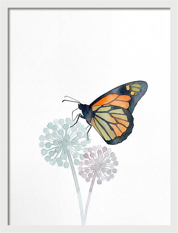 Monarch Butterfly Elegance