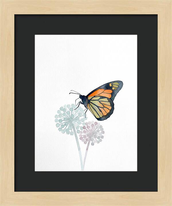 Monarch Butterfly Elegance