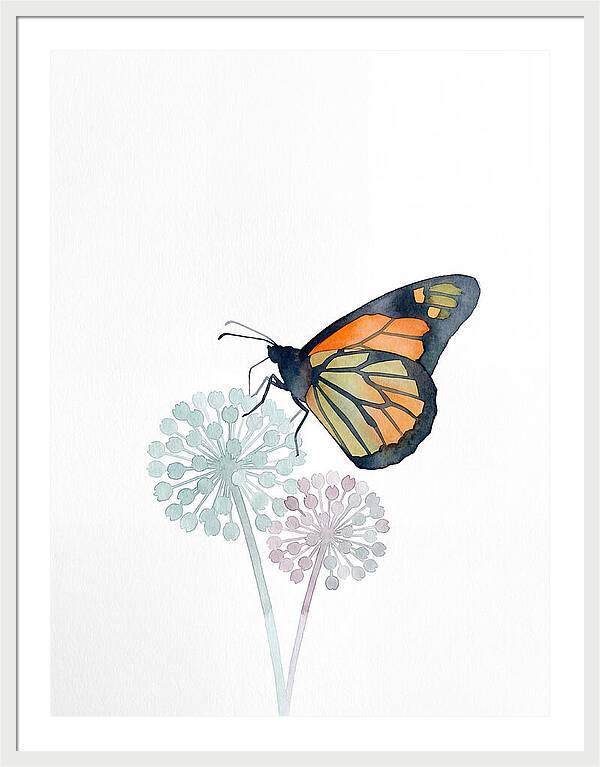 Monarch Butterfly Elegance