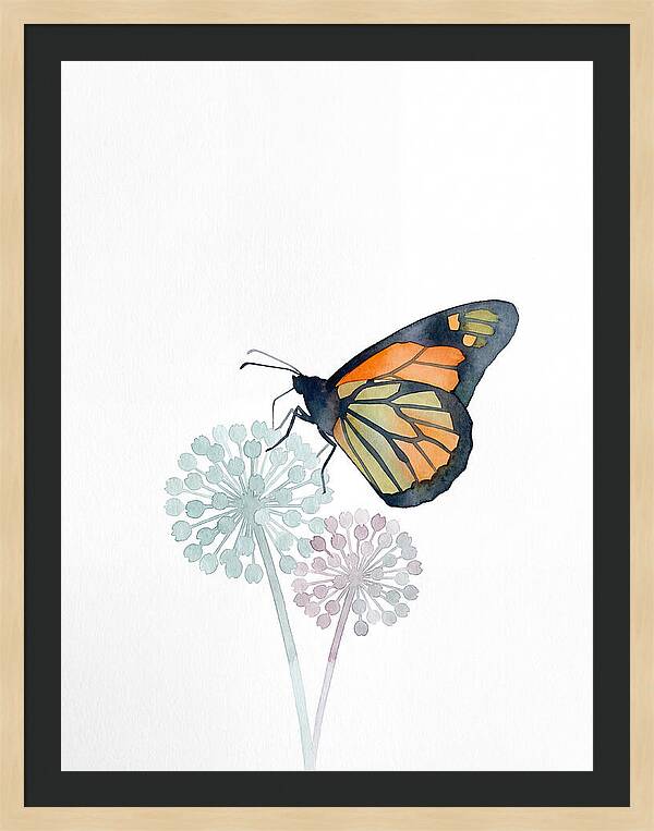 Monarch Butterfly Elegance
