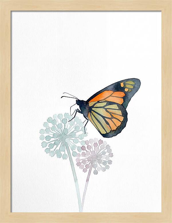 Monarch Butterfly Elegance