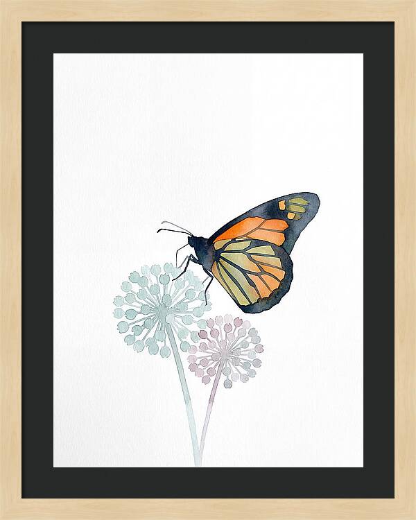Monarch Butterfly Elegance