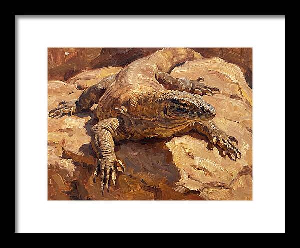 Monitor Lizard Sunbathing
