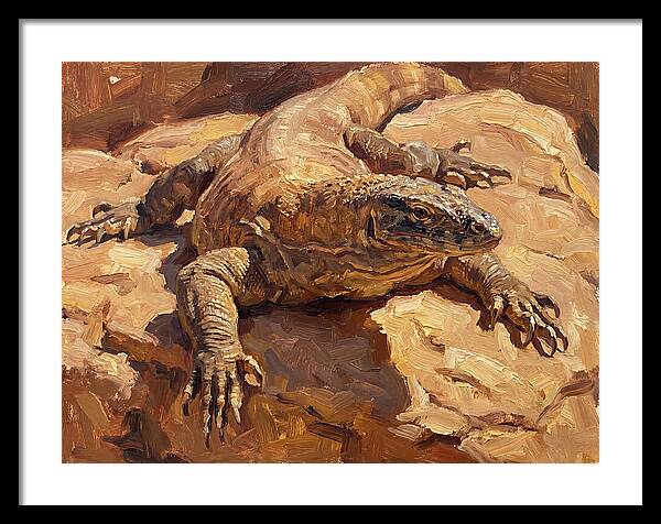 Monitor Lizard Sunbathing