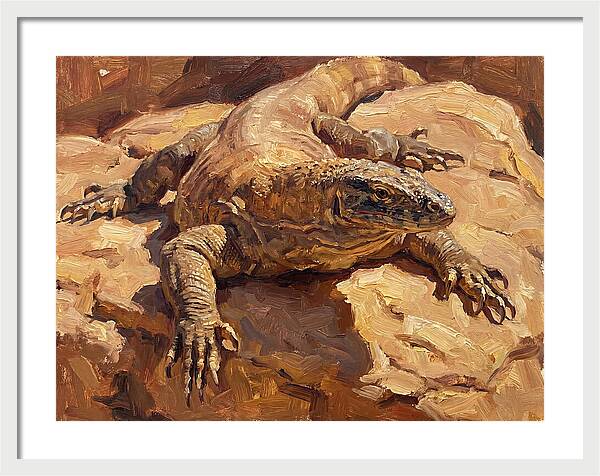 Monitor Lizard Sunbathing