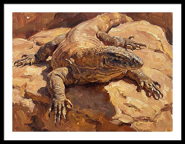 Monitor Lizard Sunbathing