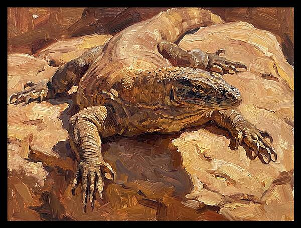 Monitor Lizard Sunbathing