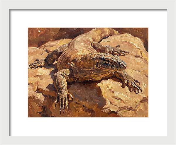 Monitor Lizard Sunbathing