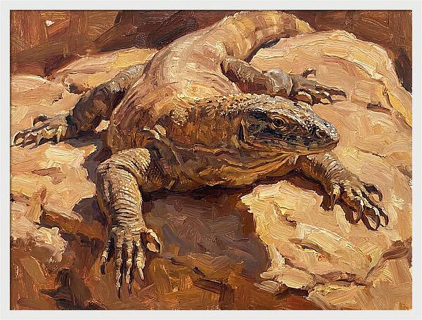 Monitor Lizard Sunbathing