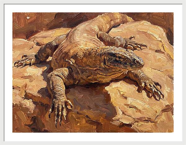 Monitor Lizard Sunbathing