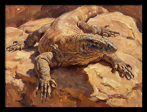 Monitor Lizard Sunbathing