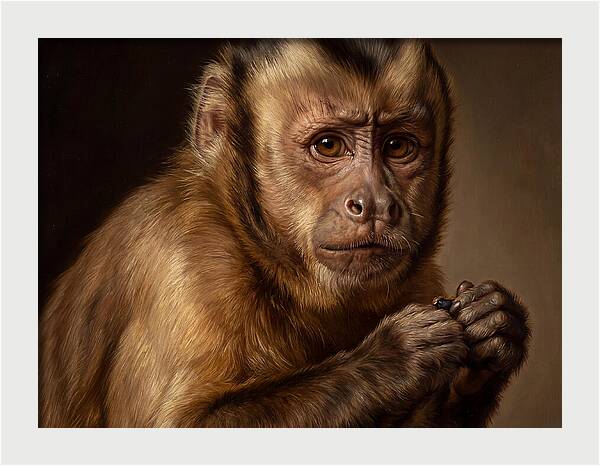 Monkey Portrait In Realism