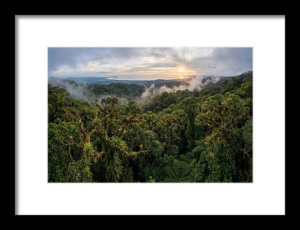 Monteverde Cloud Forest At Dusk