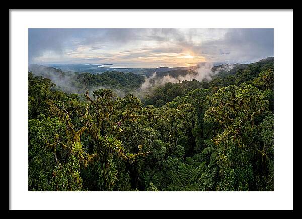 Monteverde Cloud Forest At Dusk
