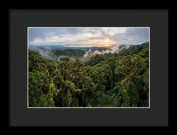 Monteverde Cloud Forest At Dusk