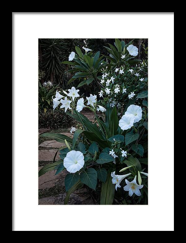 Moon Garden Glowing White Blooms