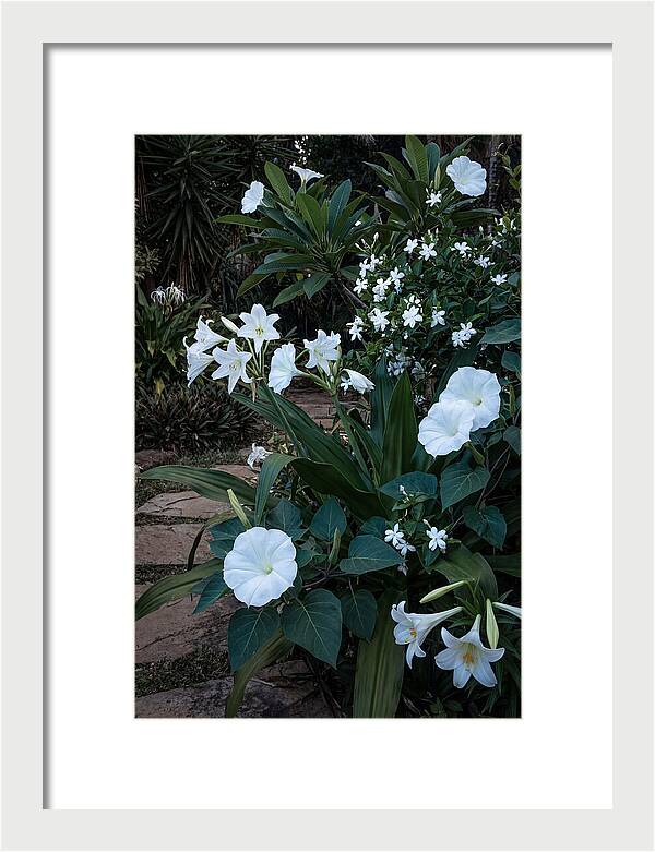 Moon Garden Glowing White Blooms