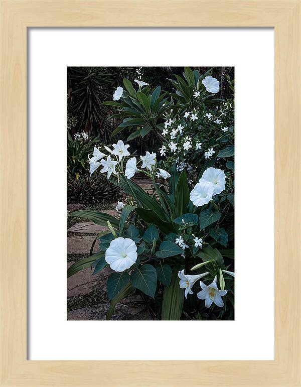 Moon Garden Glowing White Blooms