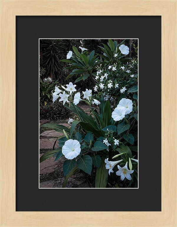 Moon Garden Glowing White Blooms
