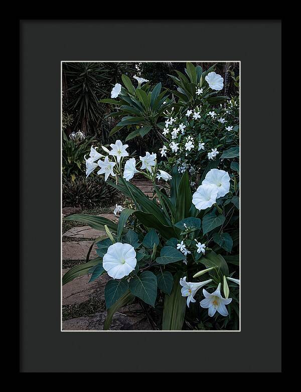 Moon Garden Glowing White Blooms