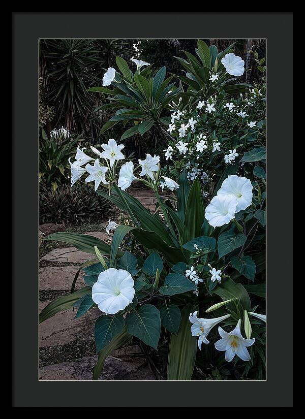 Moon Garden Glowing White Blooms
