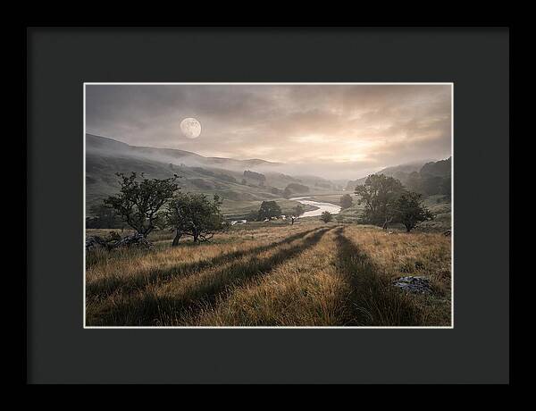 Moonlight Casting Long Shadows