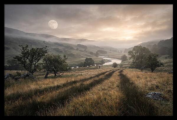 Moonlight Casting Long Shadows