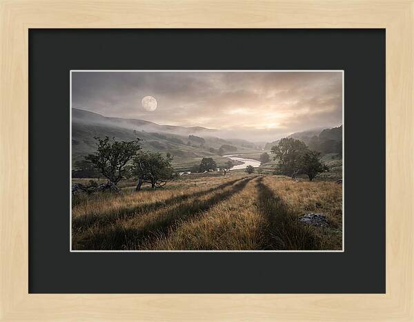 Moonlight Casting Long Shadows