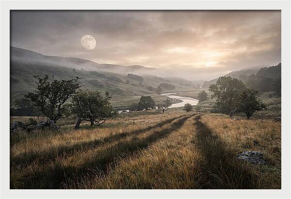 Moonlight Casting Long Shadows