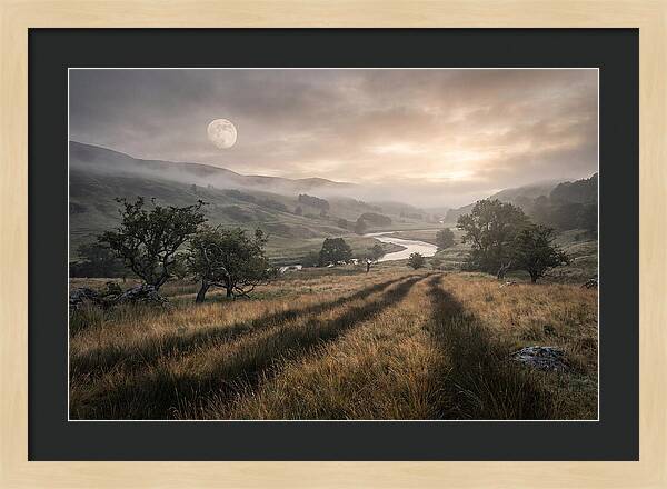 Moonlight Casting Long Shadows