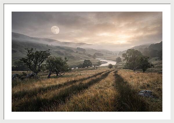 Moonlight Casting Long Shadows