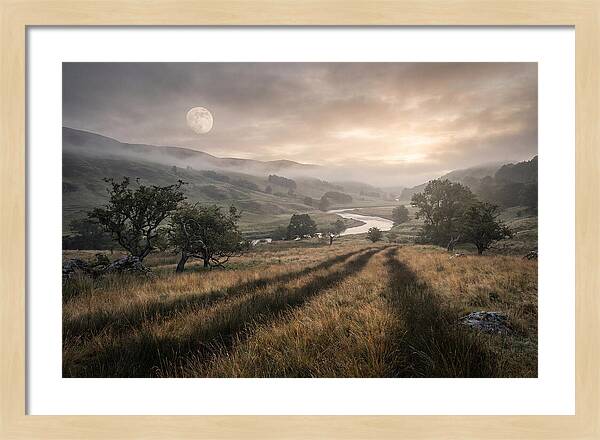 Moonlight Casting Long Shadows