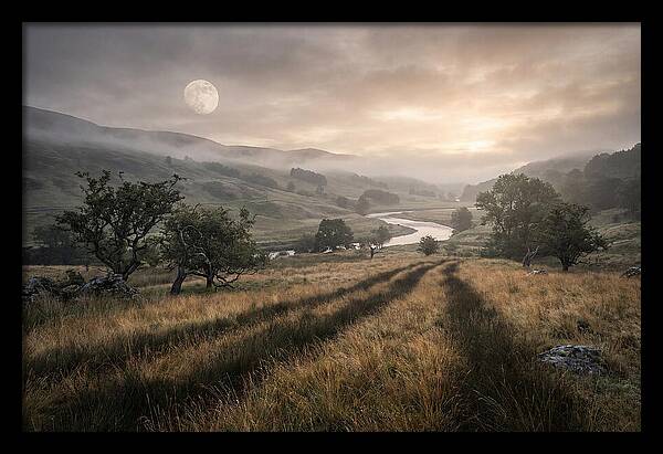 Moonlight Casting Long Shadows