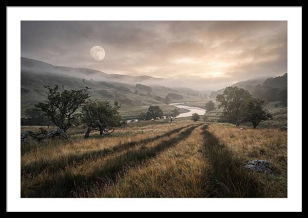 Moonlight Casting Long Shadows