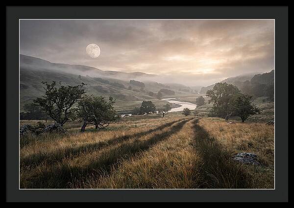 Moonlight Casting Long Shadows