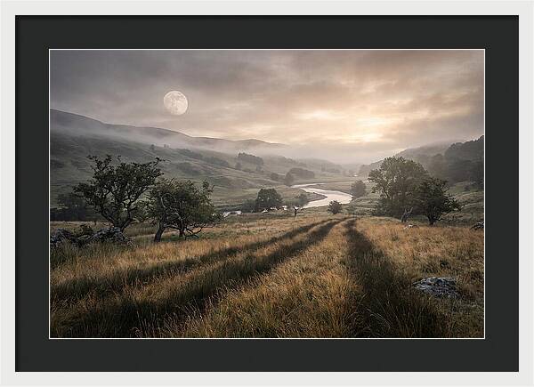 Moonlight Casting Long Shadows