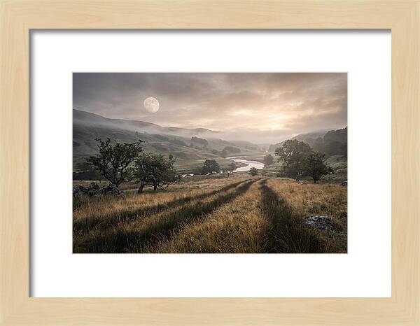 Moonlight Casting Long Shadows