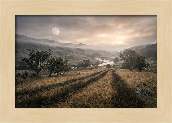 Moonlight Casting Long Shadows