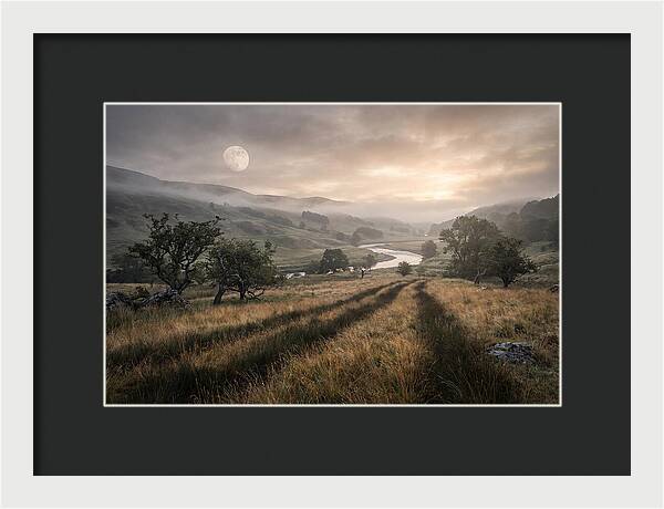 Moonlight Casting Long Shadows