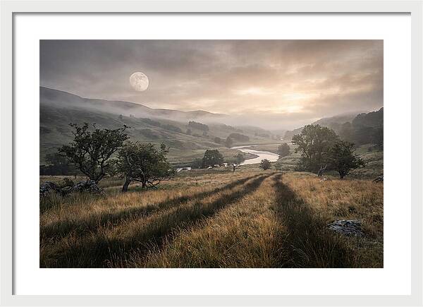 Moonlight Casting Long Shadows