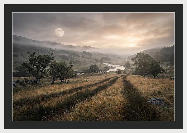 Moonlight Casting Long Shadows