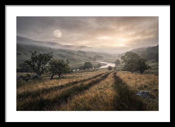 Moonlight Casting Long Shadows