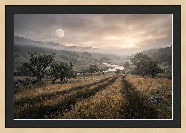 Moonlight Casting Long Shadows