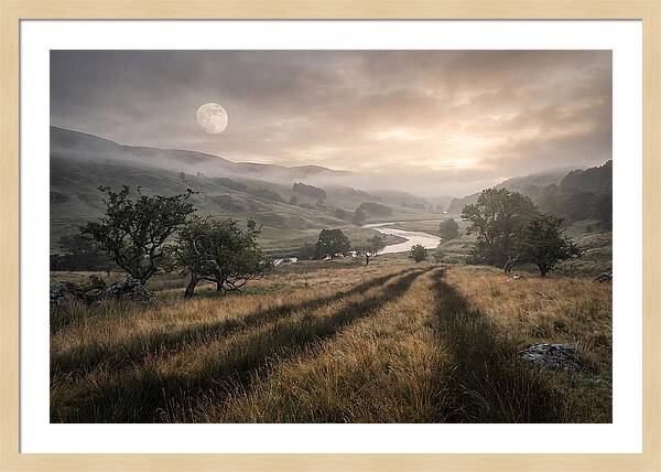 Moonlight Casting Long Shadows