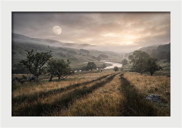 Moonlight Casting Long Shadows