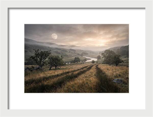 Moonlight Casting Long Shadows