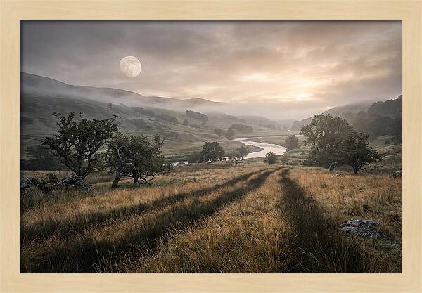 Moonlight Casting Long Shadows