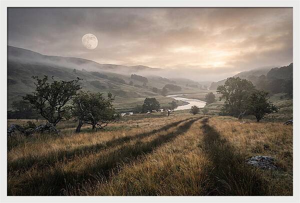 Moonlight Casting Long Shadows