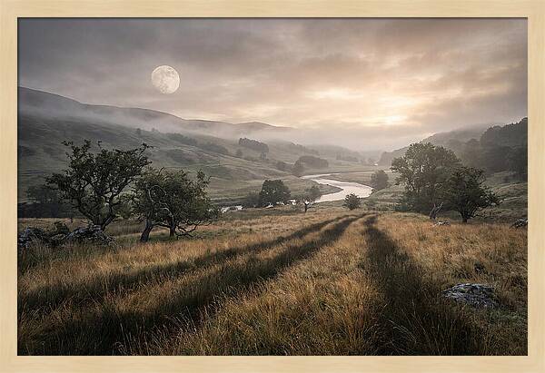 Moonlight Casting Long Shadows