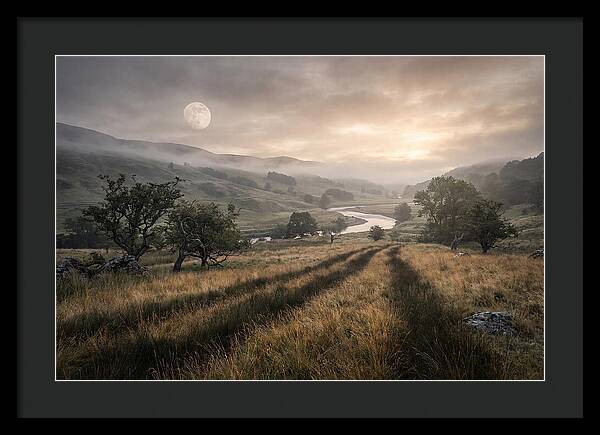 Moonlight Casting Long Shadows